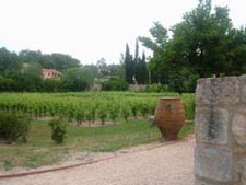 dscf0181.jpg
